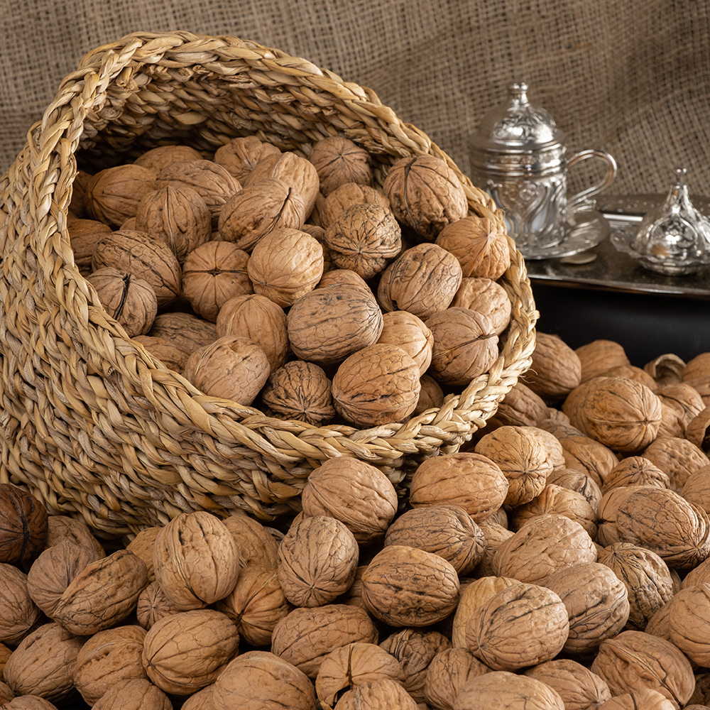 İnce Kabuk Ceviz Görseli